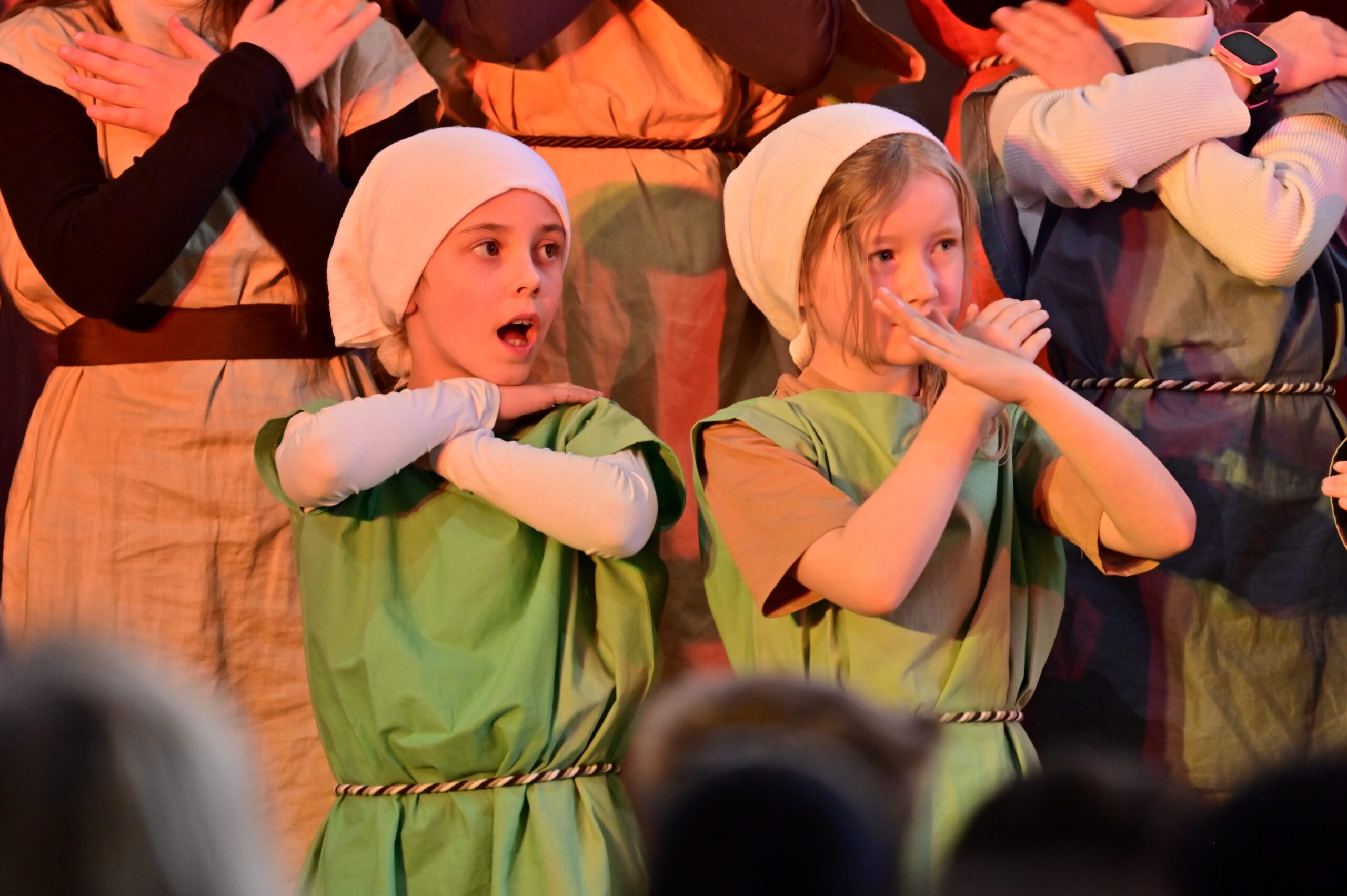 Zoff auf der Wiese III_neu